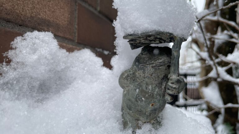 雪をかぶったカエルの置物