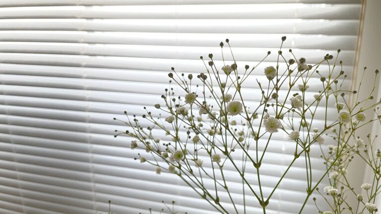 窓辺に飾ったかすみ草