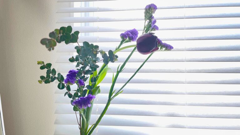 窓辺に飾った紫の花