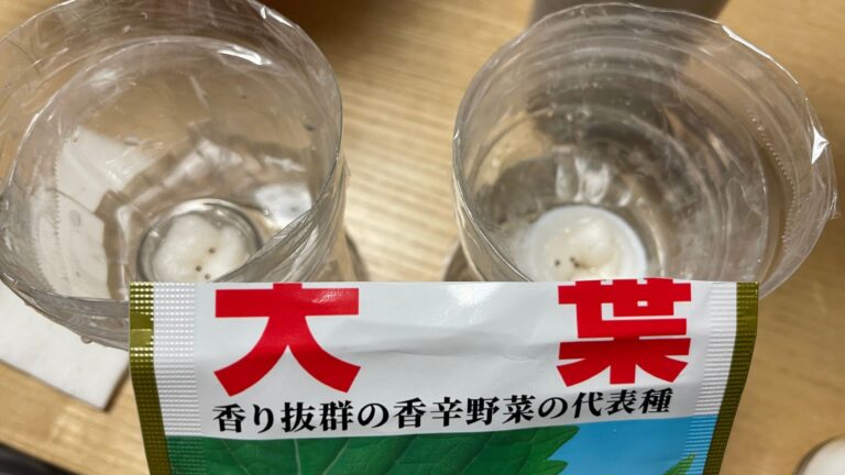 大葉の種の袋と水耕栽培のカップ